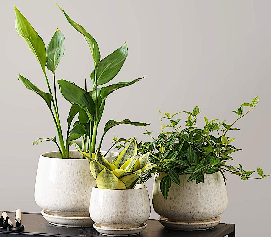 BEMAY Set of 3 Ceramic Plant Pots with Drainage Hole and Saucer, 4.1" 5.1" 6.5" Flower Pots, Indoor Outdoor Planters for Home Patio Garden Decor, Reactive Glaze Beige (Plants Not Included)
