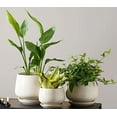 thumbnail image 1 of BEMAY Set of 3 Ceramic Plant Pots with Drainage Hole and Saucer, 4.1" 5.1" 6.5" Flower Pots, Indoor Outdoor Planters for Home Patio Garden Decor, Reactive Glaze Beige (Plants Not Included), 1 of 10