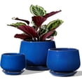 thumbnail image 1 of BEMAY Plant Pots, 4.1+5.1+6.5 inch Flower Pots with Drainage Hole and Saucer, Pack of 3 Ceramic Indoor Planters for Home and Office, Sapphire Blue, 1 of 6