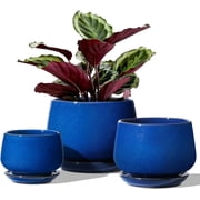 BEMAY Plant Pots, 4.1+5.1+6.5 inch Flower Pots with Drainage Hole and Saucer, Pack of 3 Ceramic Indoor Planters for Home and Office, Sapphire Blue