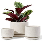 BEMAY Set of 3 Ceramic Plant Pots, 4.3+5.3+6.8 inch Flower Pots with Drainage Hole and Saucer,Indoor Planters for Home/Patio Decor,Reactive Glaze Beige