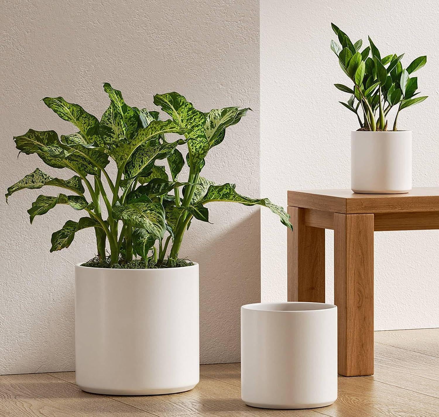 Interesting Indoor Plant Pot With Drainage Pictures