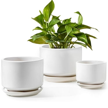 BEMAY Set of 3 Ceramic Plant Pots, White, Nature Flower Pots with Drainage Hole and Tray Indoor Planter Pots