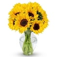 BENCHMARK BOUQUETS - 10 Stem Sunflowers (Glass Vase Included), Next-Day