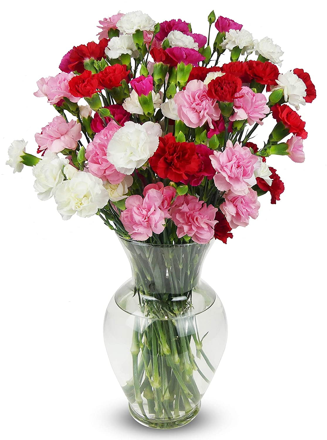BENCHMARK BOUQUETS 20 Stem Rainbow Mini Carnations (Glass Vase