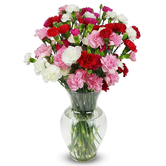BENCHMARK BOUQUETS 20 Stem Rainbow Mini Carnations (Glass Vase