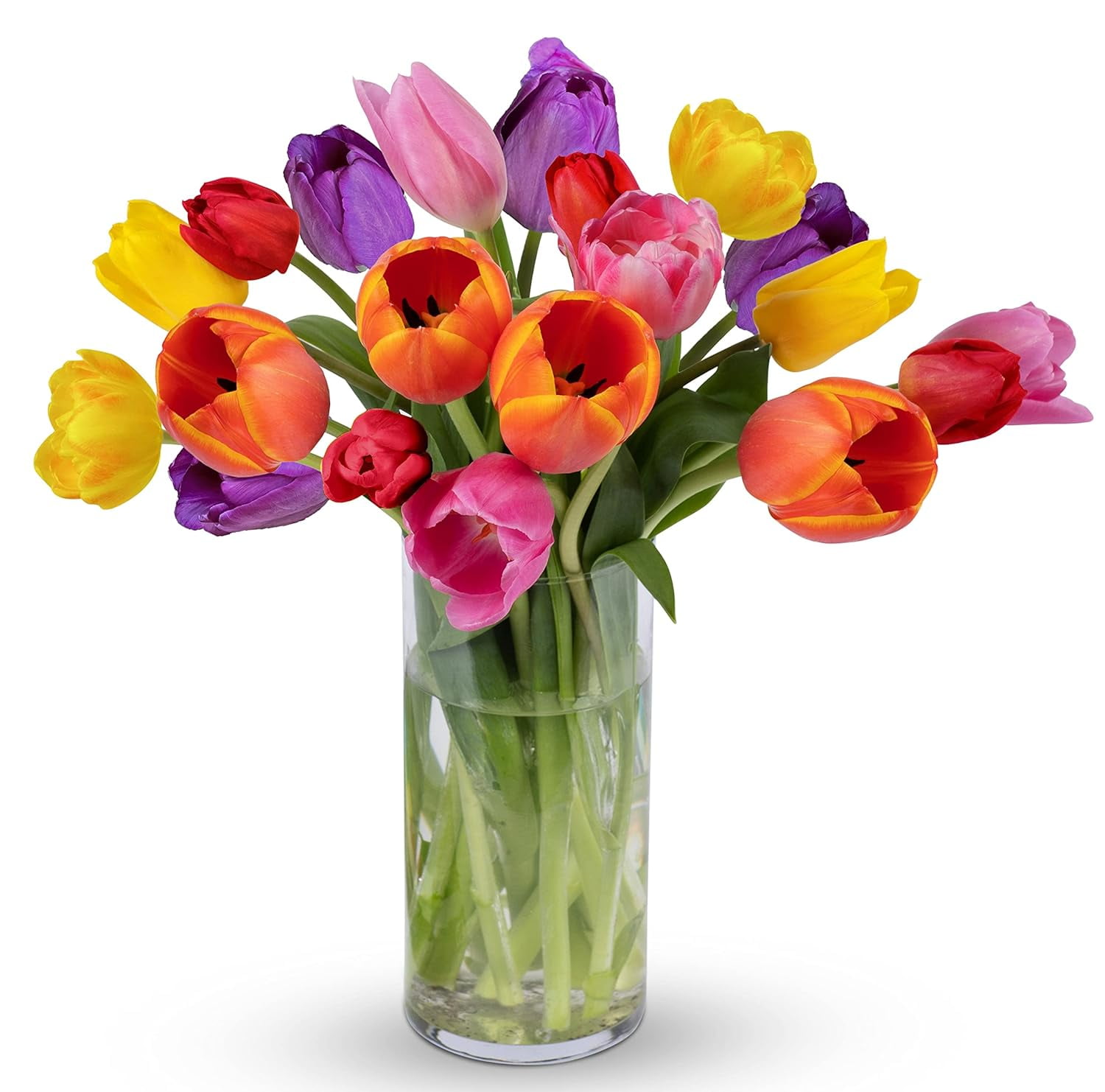 BENCHMARK BOUQUETS 20 Stem Tulips (Glass Vase Included), NextDay