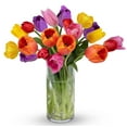 BENCHMARK BOUQUETS 20 Stem Tulips (Glass Vase Included), NextDay