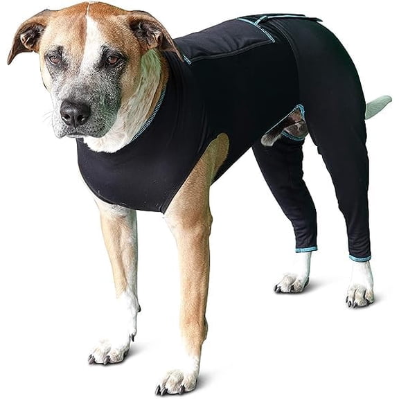 BENEFAB Therapeutic Comfort Suit for Dogs Lightweight Far-Infrared Jacket for Canines of All Ages Relaxing FIR Compression Suit Soothes Muscles, Joints, and Pain (Small)