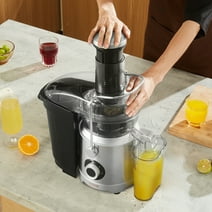 BENTISM Centrifugal Juicer Machine Fruits Vegetables Juice Extractor 1000W 2 Speed