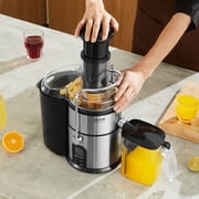 BENTISM Centrifugal Juicer Machine Fruits Vegetables Juice Extractor 850W 5 Speeds