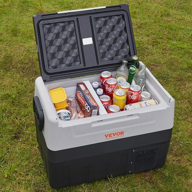 Mini Fridge 12v Cooler Box For Sale 12v 220v Ac Dc Portable