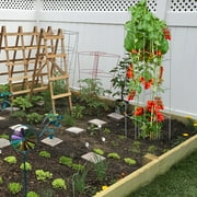 https://i5.walmartimages.com/seo/BENTISM-Tomato-Cages-Plant-Support-Cages-10-Packs-Square-Steel-3-8-FT-for-Garden_f373df2e-213b-4a2d-8a49-96d517c145f8.b1f4592980139aa4df68b56ebd206cfe.jpeg?odnWidth=180&odnHeight=180&odnBg=ffffff