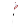 thumbnail image 1 of Berg Toys Flag with Fitting Universal - Buzzy, 1 of 6
