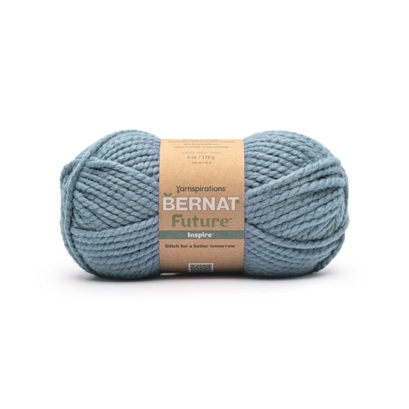 Bernat® Future Recycled Wool™ #6 Super Bulky Blend Yarn, Slated 6oz/170g 108 Yards