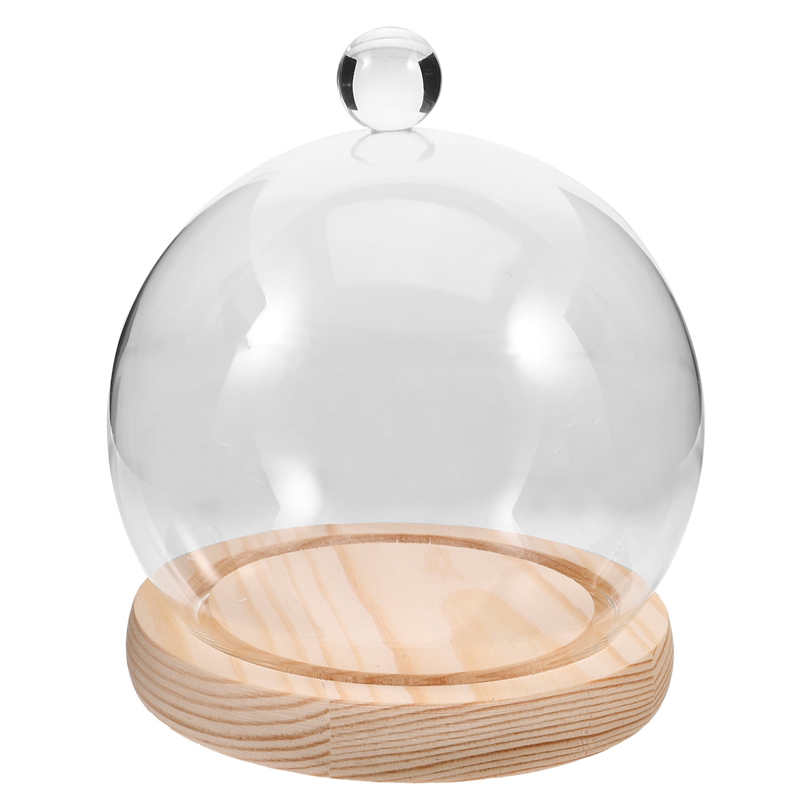EXHUMKY Clear Glass Dome with Wooden Base for Preserved Flowers, Indoor ...