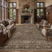 BERTHMEER 10'x14' Area Rugs for Living Room Dining Room Farmhouse Bedroom Office Oriental Vintage Traditional Washable Non Slip Large Indoor Rugs Carpets, Brown deal from Walmart