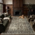 thumbnail image 1 of BERTHMEER 12'x15' Area Rugs for Living Room Bedroom Dining Room Office Farmhouse Large Rugs Oriental Traditional Vintage Non Slip Washable Throw Rugs Carpets,Brown, 1 of 9