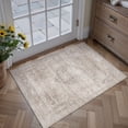 thumbnail image 1 of BERTHMEER 2'x3' Small Area Rugs for Bedroom Entryway Office Doormat Indoor,Vintage Traditional Distressed Rugs Washable Non-slip,Beige Carpets, 1 of 8