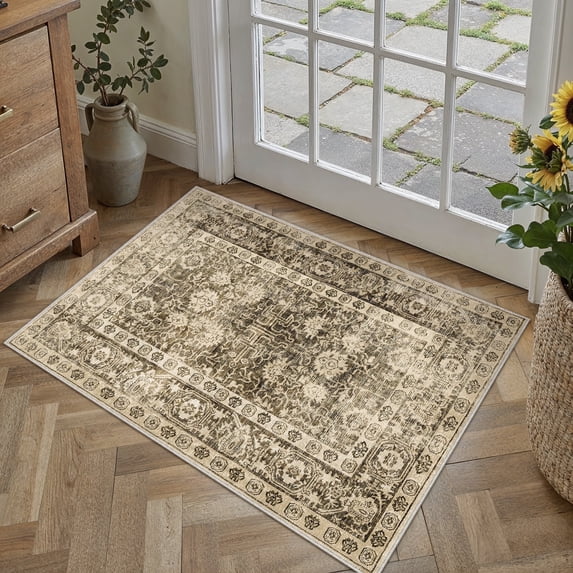 BERTHMEER 2'x3' Small Area Rugs for Bathroom Entryway Bedroom Kitchen Dorm Entrance Non Slip Washable Brown Vintage Traditional Oriental Accent Distressed Carpets