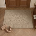 thumbnail image 1 of BERTHMEER 2'x3' Small Area Rugs for Entryway Doormats Indoor Bathroom Oriental Floral Vintage Farmhouse Machine Washable Non-slip Traditional Distressed Throw Rugs, Brown, 1 of 6