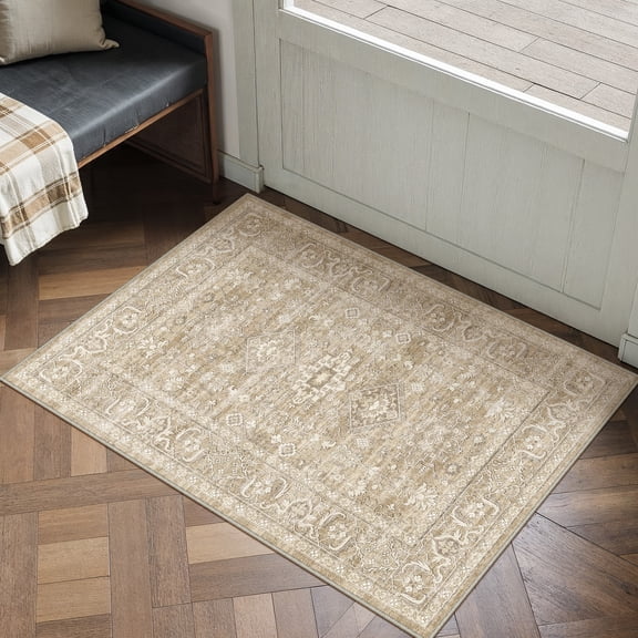 BERTHMEER 2'x3' Small Area Rugs for Entryway Doormats Indoor Bathroom Oriental Vintage Farmhouse Machine Washable Non-slip Traditional Distressed Throw Rugs, Beige