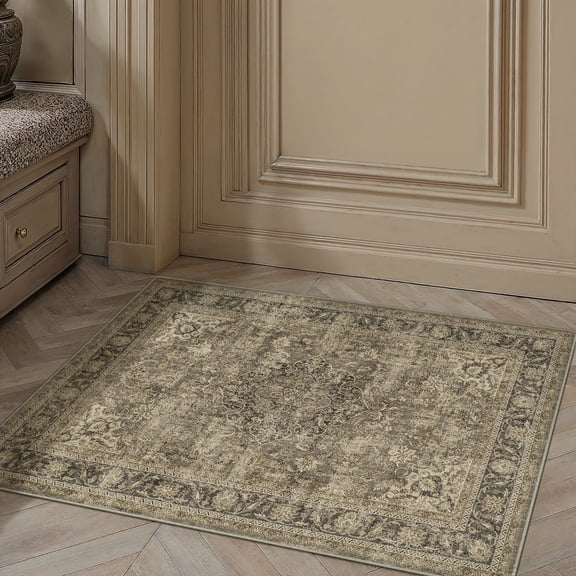 BERTHMEER 2'x3' Small Area Rugs for Entryway Laundry Bedroom Entrance Bathroom Kitchen Dorm Brown Non Slip Washable Vintage Traditional Oriental Carpets Distressed Rugs