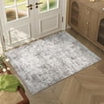 thumbnail image 1 of BERTHMEER 2'x3' Small Area Rugs Gray Abstract Rugs for Entryway Doorway indoor Doormats Machine Washable Non-slip, 1 of 1
