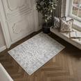 thumbnail image 1 of BERTHMEER 2'x3' Small Area Rugs Vintage Indoor Rugs for Dorm Entrance Entryway Bathroom Bedroom Kitchen Non Slip Washable Oriental Distressed Rugs,Gray, 1 of 7