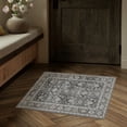 thumbnail image 1 of BERTHMEER 2'x3' Small Area Rugs Washable for door Entryway Bedroom indoor Distressed Rugs, Black, 1 of 6