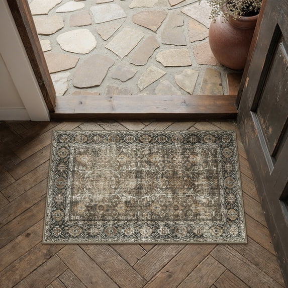 BERTHMEER 2'x3' Small Area Rugs Washable for door Entryway Bedroom indoor Distressed Rugs, Brown