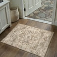 thumbnail image 1 of BERTHMEER 2'x3' Small Area Rugs Washable for door Entryway Bedroom indoor Distressed Rugs, Gold Brown, 1 of 5