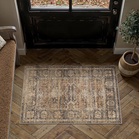BERTHMEER 2'x3' Small Area Rugs for Doorway Bedroom Entryway Kitchen Dorm Entrance Vintage Floral Non Slip Washable Oriental Traditional Rugs, Brown