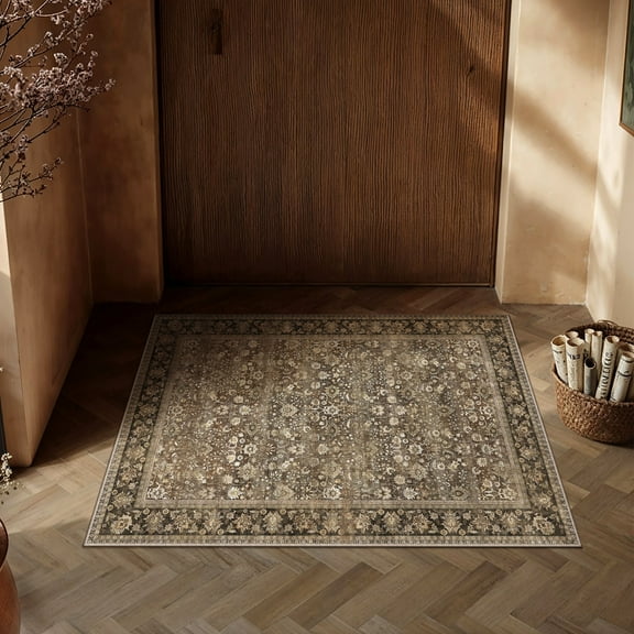 BERTHMEER 2'x3' Small Area Rugs for Entryway Doorway indoor Doormats Bathroom Machine Washable Non-slip, Brown