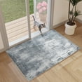 thumbnail image 1 of BERTHMEER 2'x3' Small Area Rugs for Entryway Doorway indoor Doormats Machine Washable Non-slip, Blue Gray, 1 of 2