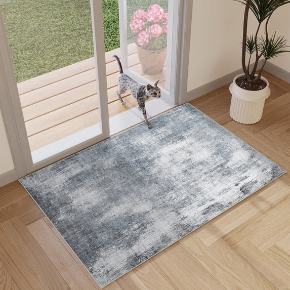 BERTHMEER 2'x3' Small Area Rugs for Entryway Doorway indoor Doormats Machine Washable Non-slip, Blue Gray