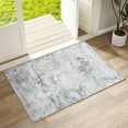 thumbnail image 1 of BERTHMEER 2'x3' Small Area Rugs for Entryway Doorway indoor Doormats Machine Washable Non-slip, Gold Gray, 1 of 4