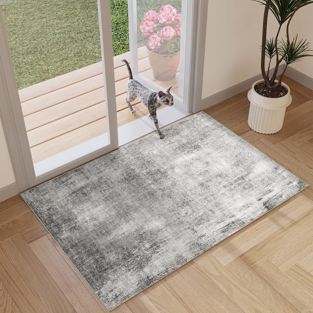 BERTHMEER 2'x3' Small Area Rugs for Entryway Doorway indoor Doormats Machine Washable Non-slip, Gray