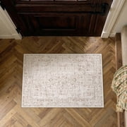 BERTHMEER 2'x3' Small Area Rugs for indoor Entryway Door Entrance Washable Throw Rugs Non skid, Brown