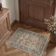 BERTHMEER 2x3 Small Brown Area Rugs for Bathroom Bedroom Entryway Kitchen Dorm Entrance Vintage Non Slip Washable Oriental Traditional Distressed Rugs