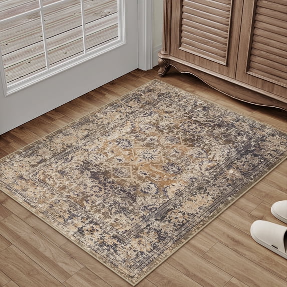 BERTHMEER 2'x3' Small Brown Area Rugs for Bathroom Entryway Bedroom Kitchen Dorm Entrance Non Slip Washable Vintage Traditional Oriental Accent Distressed Carpets