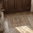 thumbnail image 1 of BERTHMEER 2'x3' Small Brown Area Rugs for Entryway Bathroom Bedroom Kitchen Dorm Entrance Non Slip Washable Vintage Traditional Carpets Oriental Accent Distressed Doormats, 1 of 6