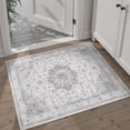 thumbnail image 1 of BERTHMEER 2'x3' Small Gray Area Rugs for Entryway Bathroom Bedroom Kitchen Dorm Entrance Non Slip Washable Vintage Traditional Carpets Oriental Accent Distressed Doormats, 1 of 6