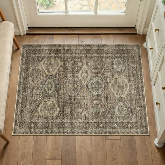 BERTHMEER 2'x3' Small Rugs for Entrance Doorway Bedroom Entryway Kitchen Non Slip Vintage Traditional Office Oriental Distressed Rugs,Brown
