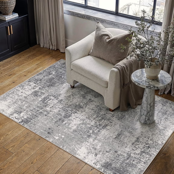 BERTHMEER 3' x 5' Gray Abstract Area Rugs Non-slip