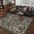 thumbnail image 1 of BERTHMEER 3'x5' Area Rugs for Living Room Kitchen Bedroom Rugs Non Slip Washable Floral Blackish Green Vintage Carpets Oriental Flower Office Dorm Traditional Throw Rugs, Multicolor, 1 of 8