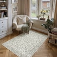 thumbnail image 1 of BERTHMEER 3'x5' Small Washable Green Area Rugs for Bathroom Bedroom Entryway Kitchen Rugs Non Slip Vintage Dorm Office Oriental Distressed Throw Rugs, 1 of 6