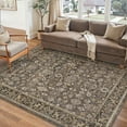 thumbnail image 1 of BERTHMEER 4'x6' Area Rugs for Living Room Vintage Brown Rugs for Bedroom Kitchen Non Slip Washable Carpets Oriental Distressed Home Office Dorm Dining Room Traditional Distressed Throw Rugs, 1 of 6