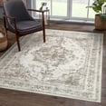 thumbnail image 1 of BERTHMEER 4'x6' Area Rugs Washable Vintage Oriental Rugs for Office Entryway Bedroom Throw Rugs Non-slip, Taupe, 1 of 6