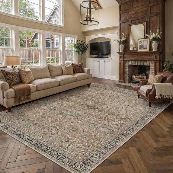 BERTHMEER 4'x6' Brown Area Rugs for Living Room Bedroom Dining Room Kitchen Non Slip Washable Farmhouse Office Rugs Oriental Vintage Traditional Carpets